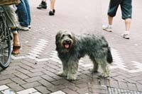 ams2004p151F1010030