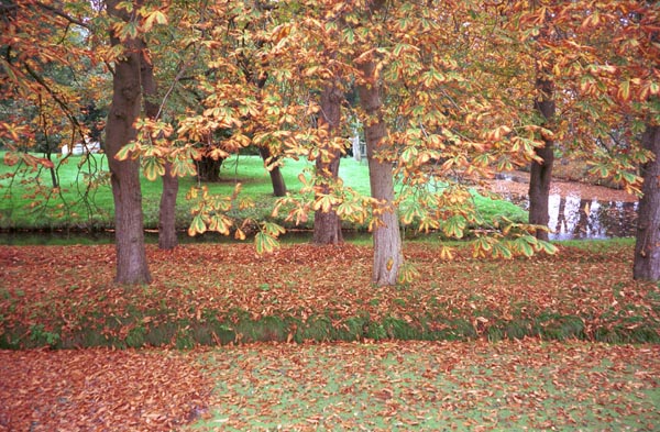 ses02-autumn2001p007amstel_