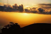 trv15-sf2003p102nighteyeF1040026_