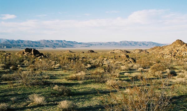 jtnp101F1030007_