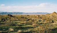 jtnp101F1030007_