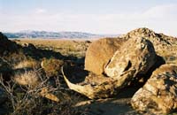 jtnp102F1030008_