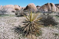 jtnp103F1000021_