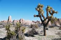 jtnp104F1000018_