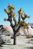 jtnp105F1000017_