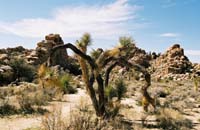 jtnp109F1010018_