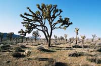 jtnp110F1010036_