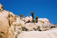 jtnp111F1010013_