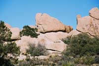 jtnp112F1010025_