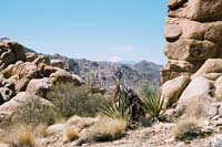 jtnp113F1010012_