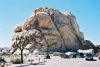 jtnp114F1010012_