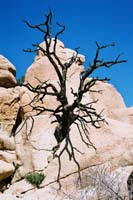 jtnp115F1010008_
