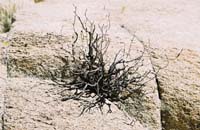 jtnp116F1010036_