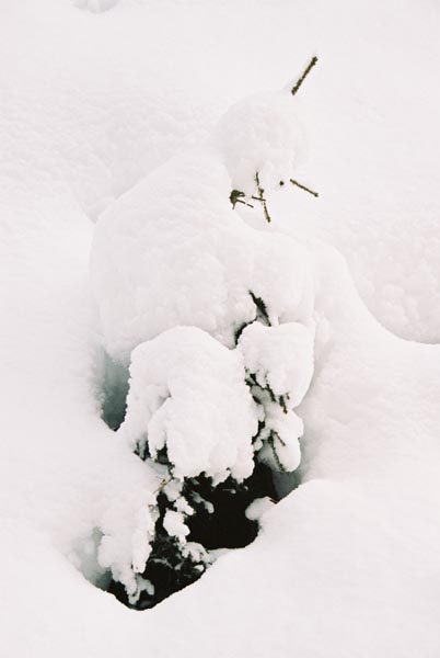 winter2004gerlos120F1000025