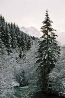 winter2004gerlos101F1020012_