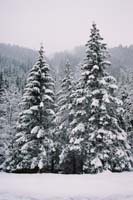 winter2004gerlos114F1020028