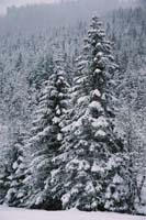 winter2004gerlos115F1020026