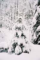 winter2004gerlos118F1020003
