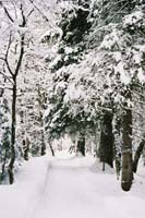 winter2004gerlos140F1020001
