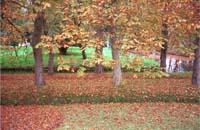 bf01-autumn2001p007amstel