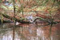 bf02--autumn2000sterk